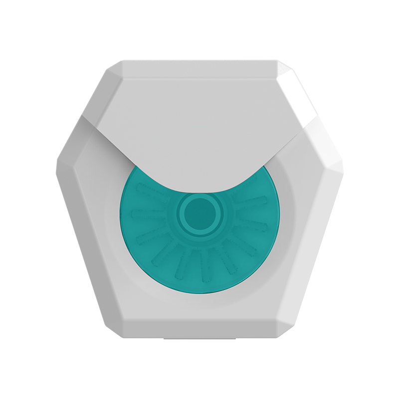 50M Zeezout Smaak Hexagon Box-verpakt Klassieke UHMWPE Tandzijde 