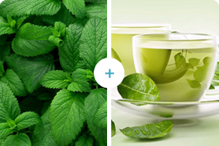 Groene thee+Mint